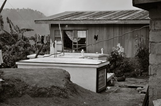 Coffins at the Backyard