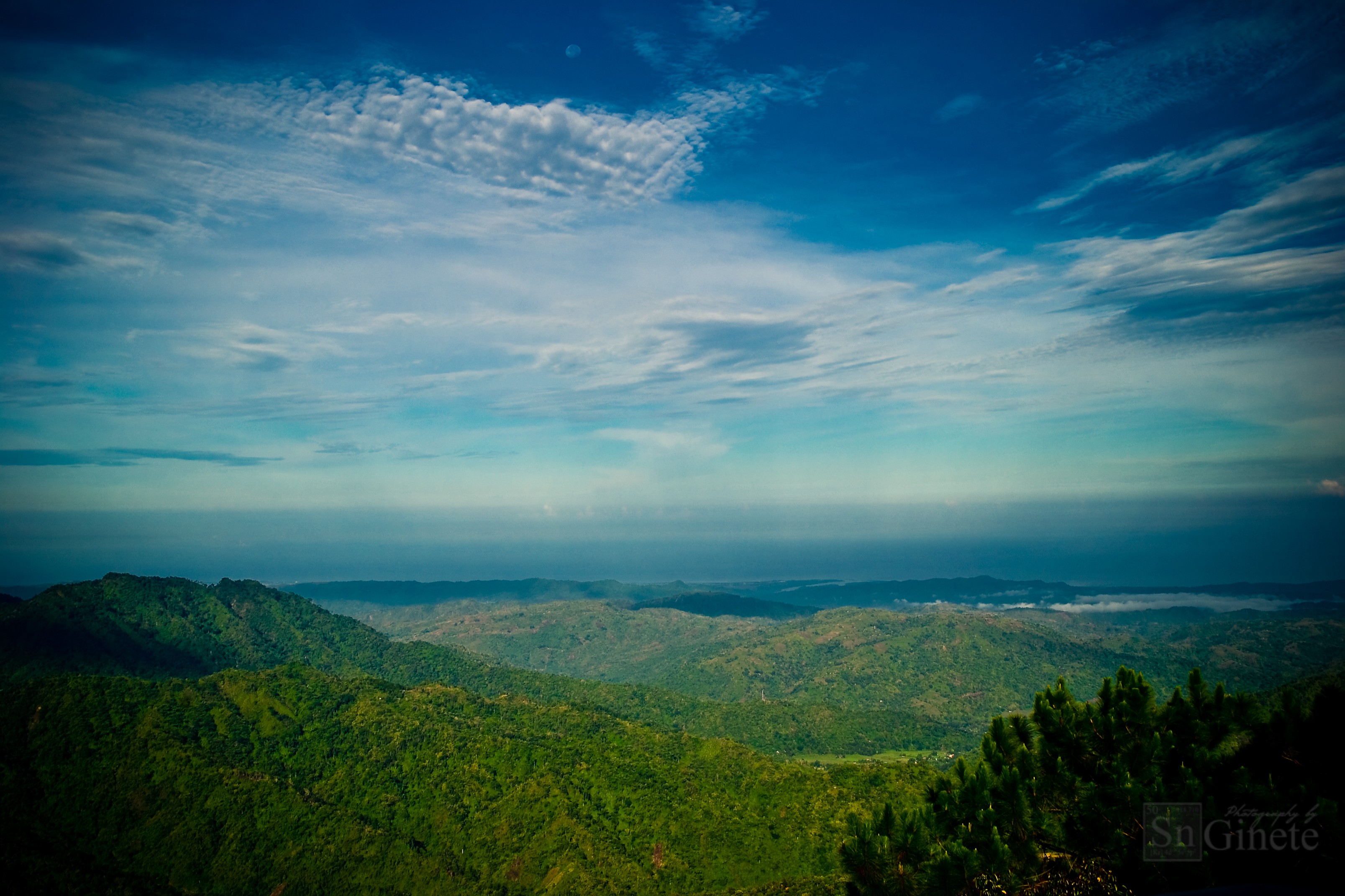 The Quest: A Vast Space