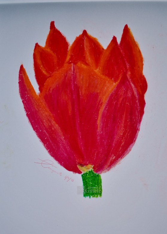 Art Attack 101: Tulip in Oil Pastel