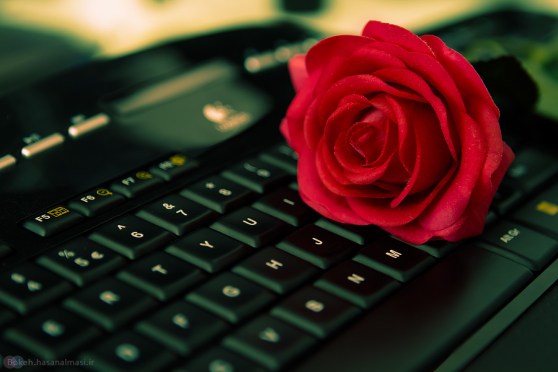 Photo credit: http://bokeh.hasanalmasi.ir/