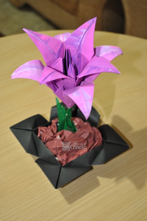 Multi Petaled Lily Origami and Flower Box Origami