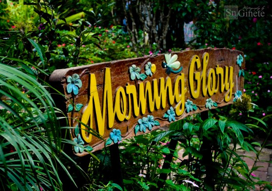 Morning Glory garden. The other two are The Conservatory and Sunflower.