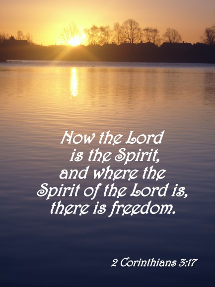 thebottomofabottle.wordpress.com