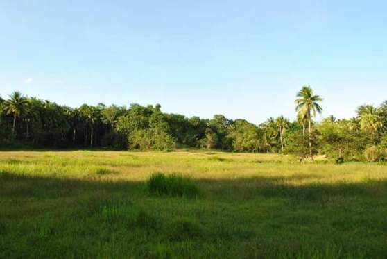 FB_IMG_1532963198161