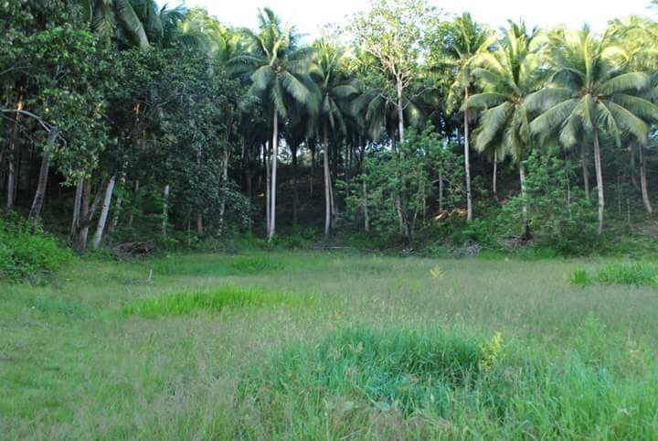 FB_IMG_1532963217972