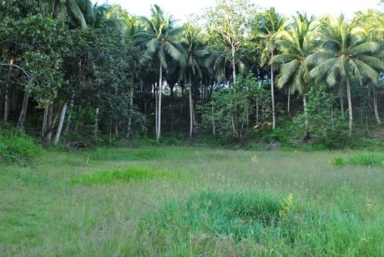 FB_IMG_1532963217972