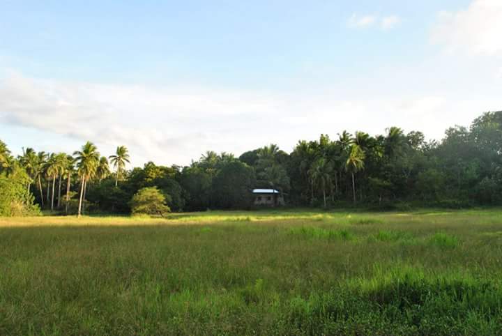 FB_IMG_1532963226993