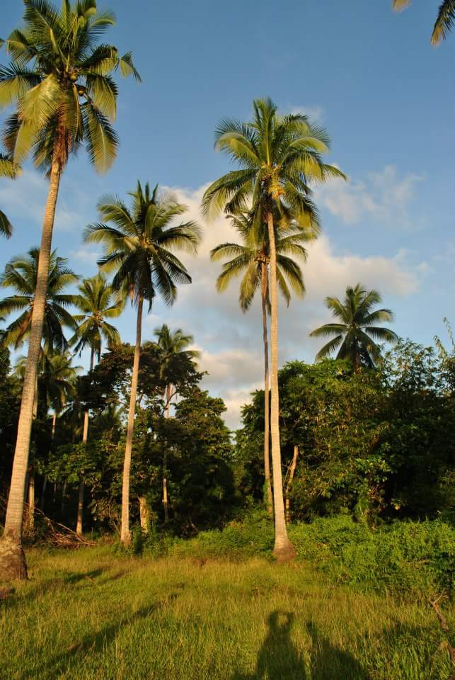 FB_IMG_1532963238144