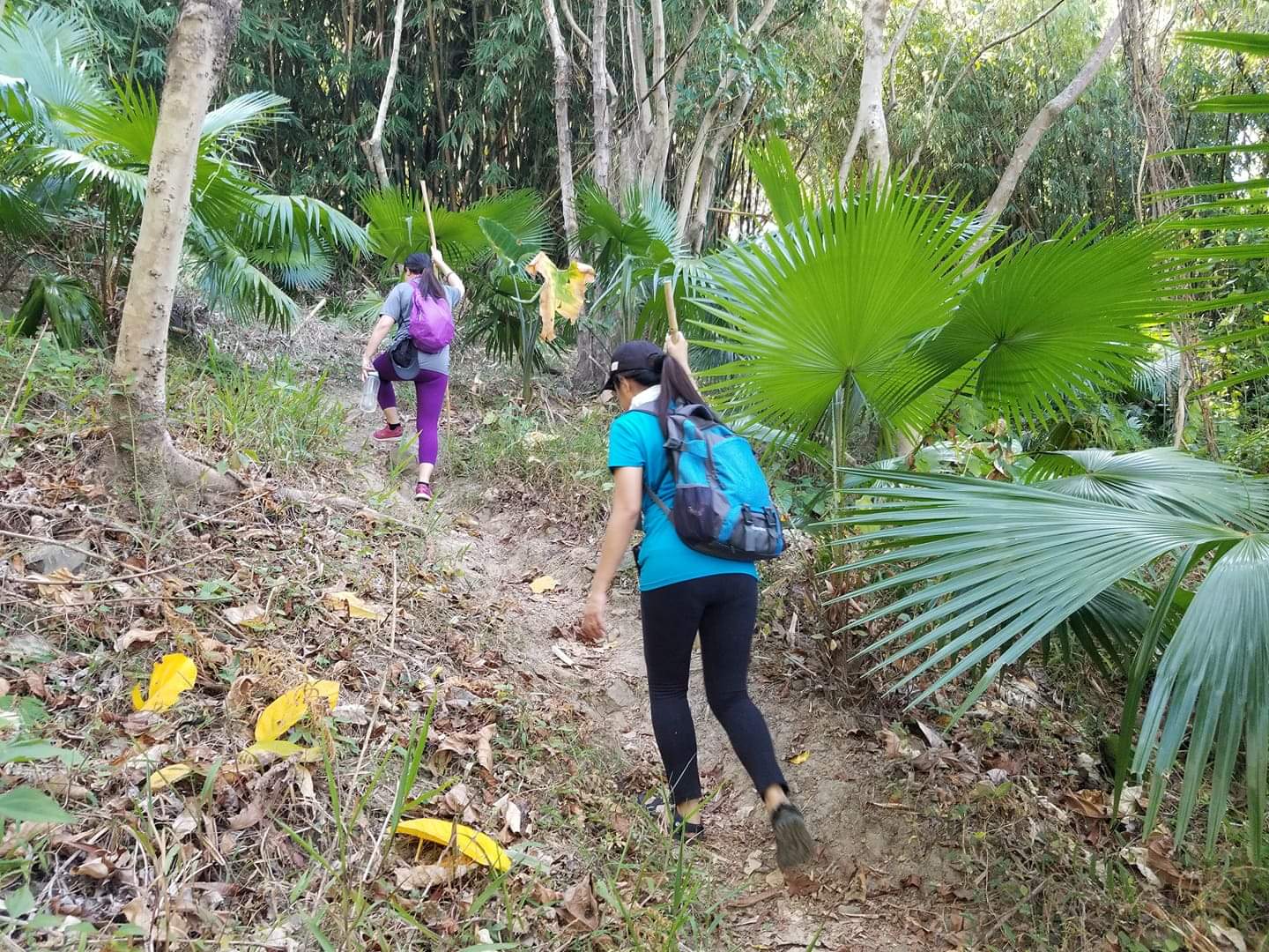 received_322152911747788